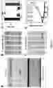 Fig. 07 - Devices, systems, and methods for single cell bacteria analysis