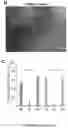 Fig. 35 - Devices, systems, and methods for single cell bacteria analysis