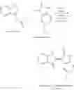 Fig. 22 - COMPOSITIONS AND METHODS FOR SUPPRESSING AND/OR TREATING A GROWTH RELATED DISEASE AND/OR A CLINICAL CONDITION THEREOF