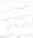Fig. 339 - PD-1/PD-L1 INHIBITORS