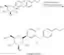 Fig. 06 - Processes for preparation of dapagliflozin or its solvates or co-crystals thereof
