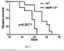 Fig. 07 - COMPOUNDS AND METHODS FOR INHIBITION OF MULTIPLE MYELOMA