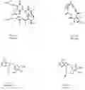 Fig. 02 - SMALL-MOLECULE HSP90 INHIBITORS