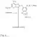 Fig. 06 - SMALL-MOLECULE HSP90 INHIBITORS