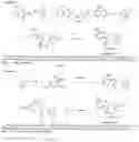 Fig. 07 - SMALL-MOLECULE HSP90 INHIBITORS