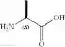 Fig. 02 - Beta-Arrestin Effectors and Compositions and Methods of Use Thereof