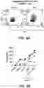 Fig. 06 - Antibodies to TIGIT