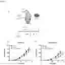 Fig. 02 - IgA mediated killing of aberrant cells by CD47- SIRPalpha checkpoint inhibition of neutrophils