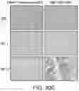 Fig. 45 - BISPECIFIC HER2 AND CD3 BINDING MOLECULES