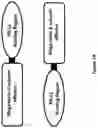 Fig. 02 - PD-L1 TARGETING MOLECULES COMPRISING SHIGA TOXIN A SUBUNIT SCAFFOLDS