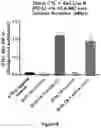 Fig. 08 - PD-L1 TARGETING MOLECULES COMPRISING SHIGA TOXIN A SUBUNIT SCAFFOLDS