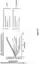 Fig. 22 - PD-L1 TARGETING MOLECULES COMPRISING SHIGA TOXIN A SUBUNIT SCAFFOLDS