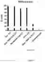 Fig. 06 - Process for generating genetically engineered autologous T cells