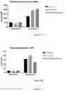 Fig. 08 - Process for generating genetically engineered autologous T cells