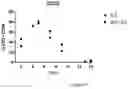 Fig. 11 - Process for generating genetically engineered autologous T cells