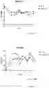 Fig. 12 - Process for generating genetically engineered autologous T cells