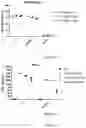 Fig. 15 - Process for generating genetically engineered autologous T cells