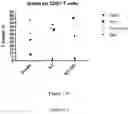 Fig. 16 - Process for generating genetically engineered autologous T cells