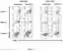 Fig. 20 - Process for generating genetically engineered autologous T cells