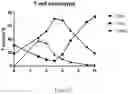 Fig. 24 - Process for generating genetically engineered autologous T cells