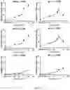 Fig. 28 - Process for generating genetically engineered autologous T cells