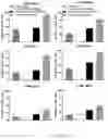 Fig. 29 - Process for generating genetically engineered autologous T cells
