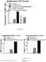 Fig. 30 - Process for generating genetically engineered autologous T cells