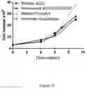 Fig. 31 - Process for generating genetically engineered autologous T cells