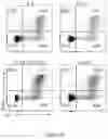 Fig. 32 - Process for generating genetically engineered autologous T cells