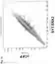 Fig. 05 - USE OF RNA FOR REPROGRAMMING SOMATIC CELLS