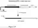 Fig. 10 - USE OF RNA FOR REPROGRAMMING SOMATIC CELLS