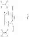 Fig. 02 - ENONE REDUCTASES