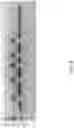 Fig. 08 - Recombinant Microorganism for Producing 2,3-Butanediol and a Method of Production of 2,3-Butanediol