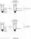 Fig. 09 - Systems and methods for generation of emulsions with suitable clarity with applications of use