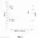 Fig. 02 - MULTISIGNAL REAGENTS FOR LABELING ANALYTES
