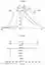 Fig. 06 - Side-edge type surface light emitting apparatus having multiple gradually-sloped peak-shaped prisms