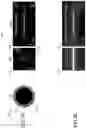 Fig. 09 - INSTANTANEOUS NON-DIFFRACTING LIGHT SHEETS