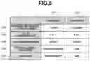 Fig. 06 - Image formation apparatus and for transmitting print data to a folder