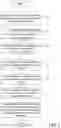 Fig. 09 - Secure translation of sensitive content