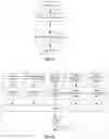 Fig. 12 - Eye tracking method and system