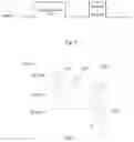 Fig. 04 - Driving method for display panel, driving circuit, display panel and display device