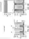 Fig. 08 - Hybrid source drain regions formed based on same fin and methods forming same