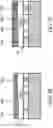 Fig. 06 - Metal-insulator-metal capacitive structure and methods of fabricating thereof