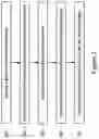 Fig. 03 - LDD-free semiconductor structure and manufacturing method of the same