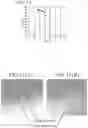 Fig. 07 - Magnetoresistance effect element