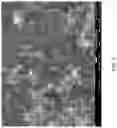 Fig. 02 - Cathode and cathode materials for lithium sulfur batteries