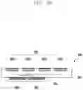 Fig. 09 - Electronic device comprising antenna module
