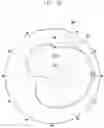 Fig. 18 - Electronic device comprising antenna module