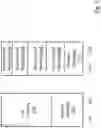 Fig. 06 - Non-isolated topologies in computing network environments