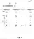 Fig. 07 - Mechanism for associating emails with filter labels